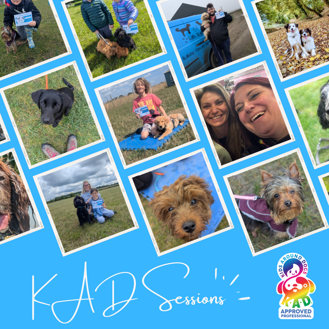 Kids Around Dogs
