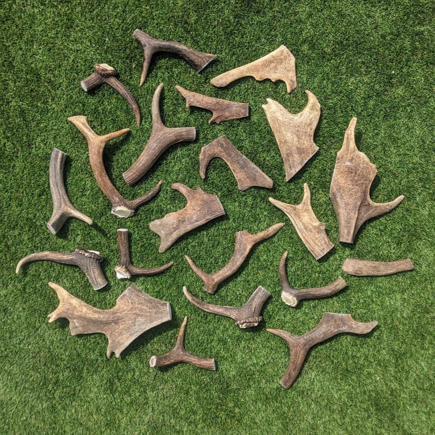 Antlers