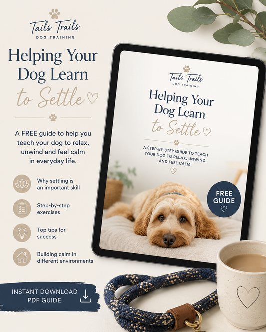 Helping Your Dog Learn to Settle - FREE Digital Guide 🐾