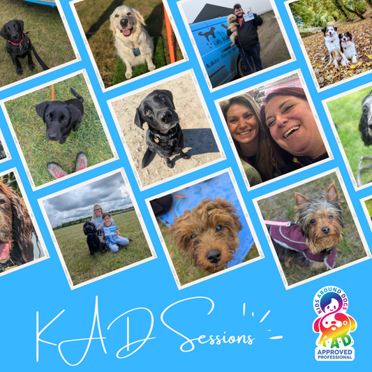 Kids Around Dogs