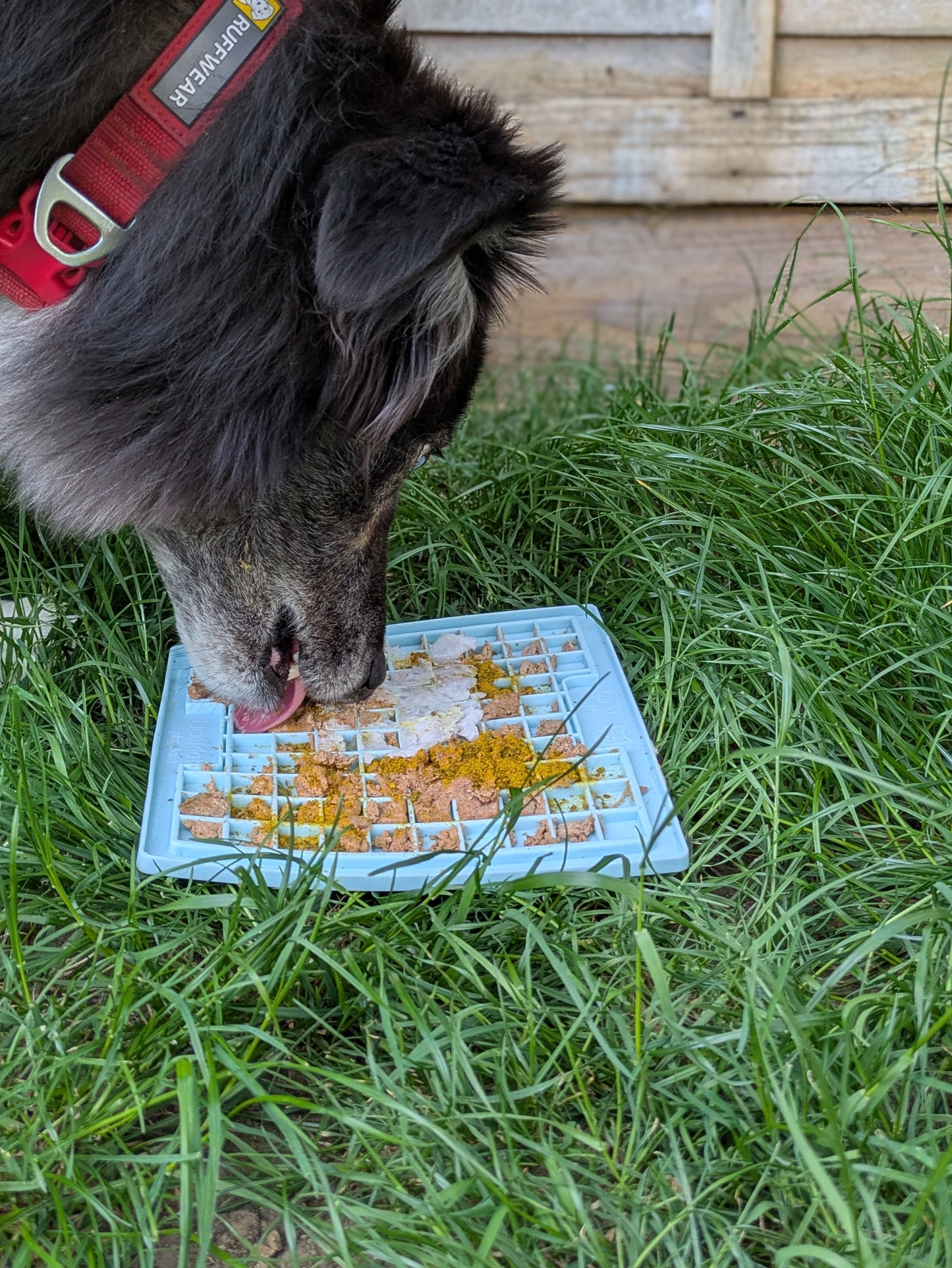 LickiMat® Classic Playdate™ Slow Feeder &amp; Enrichment Mat