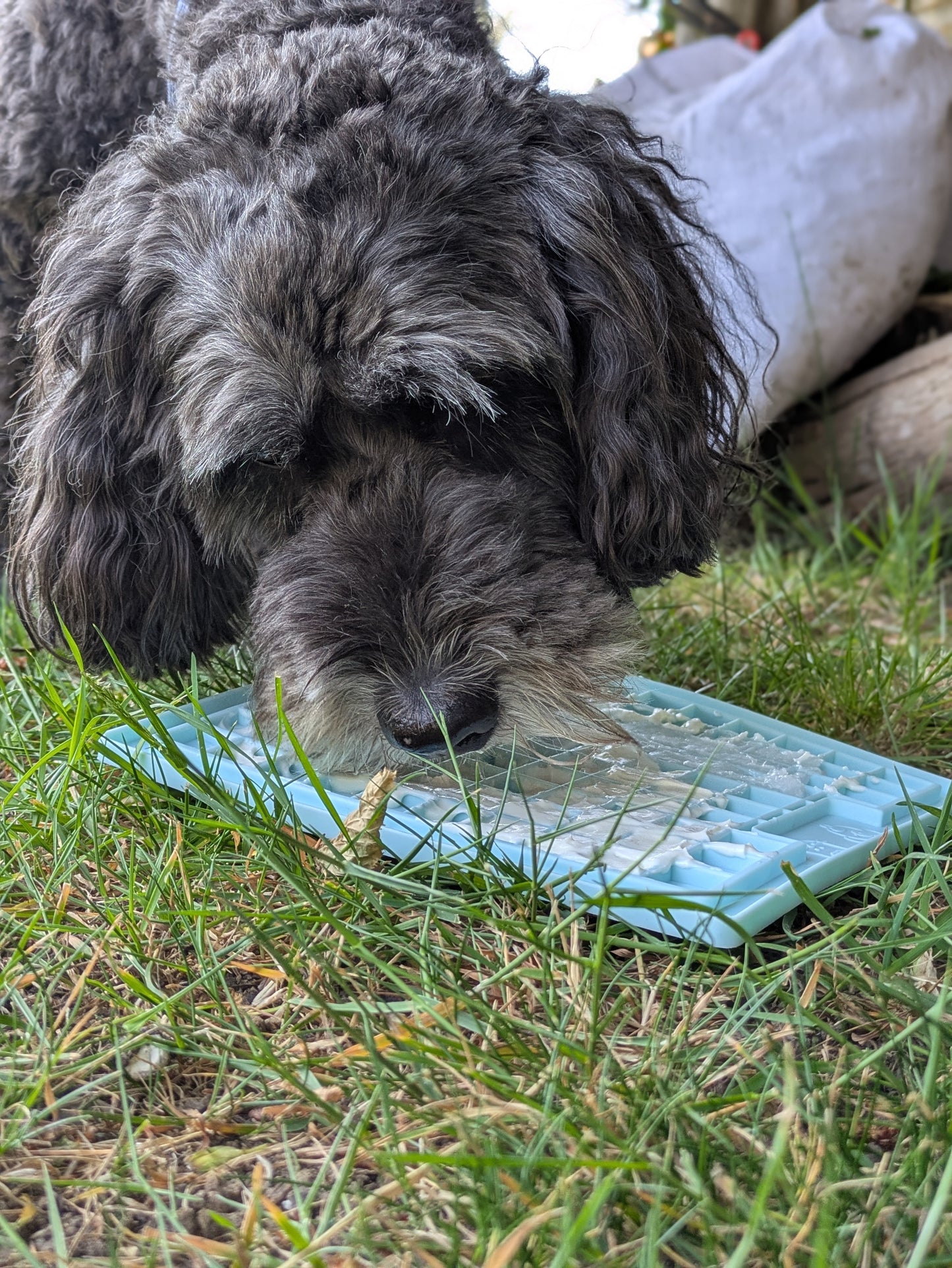 LickiMat® Classic Playdate™ Slow Feeder &amp; Enrichment Mat