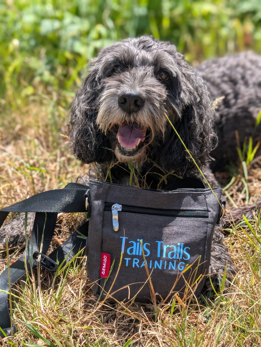 Training Treat Pouch