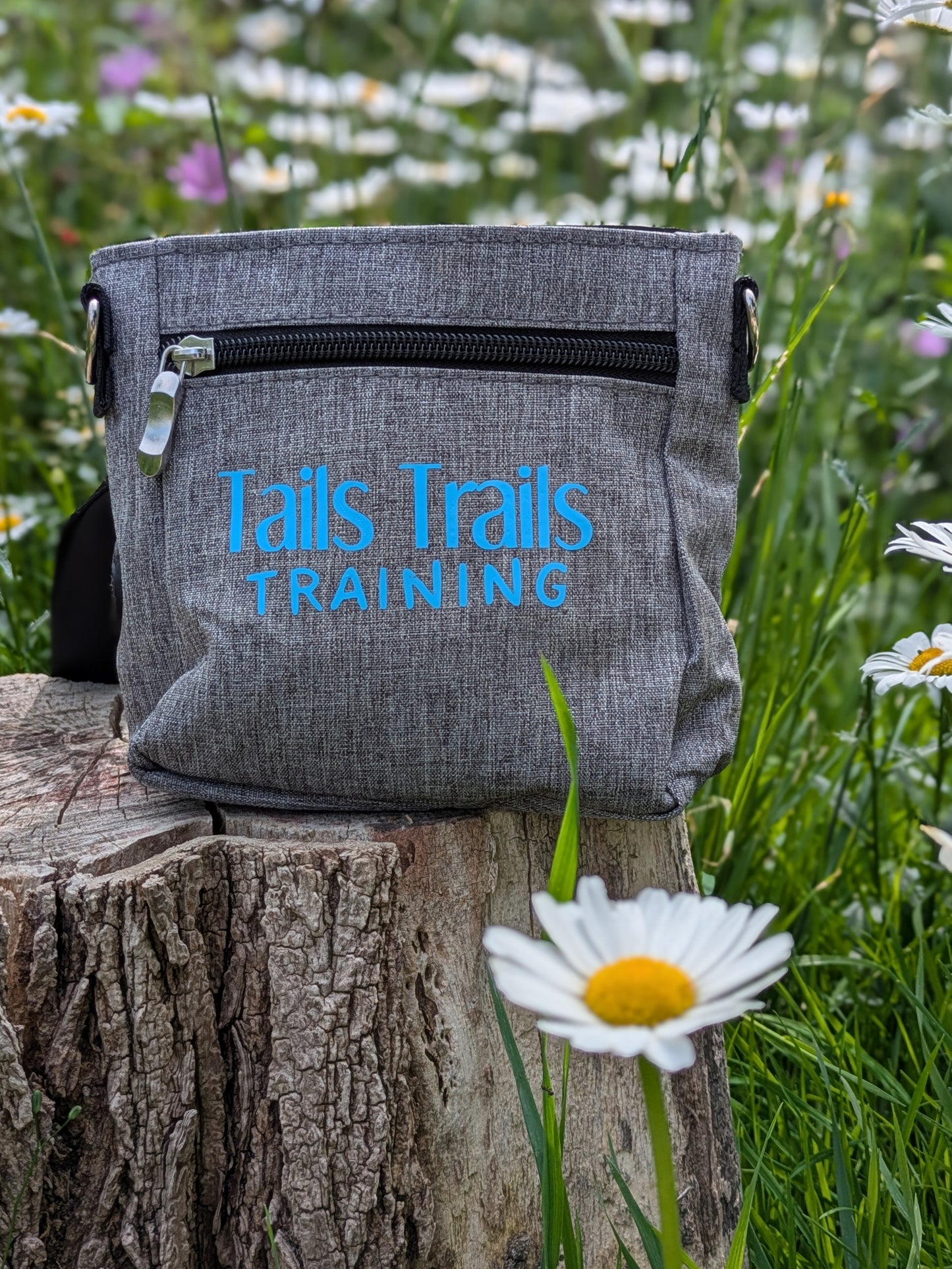Training Treat Pouch