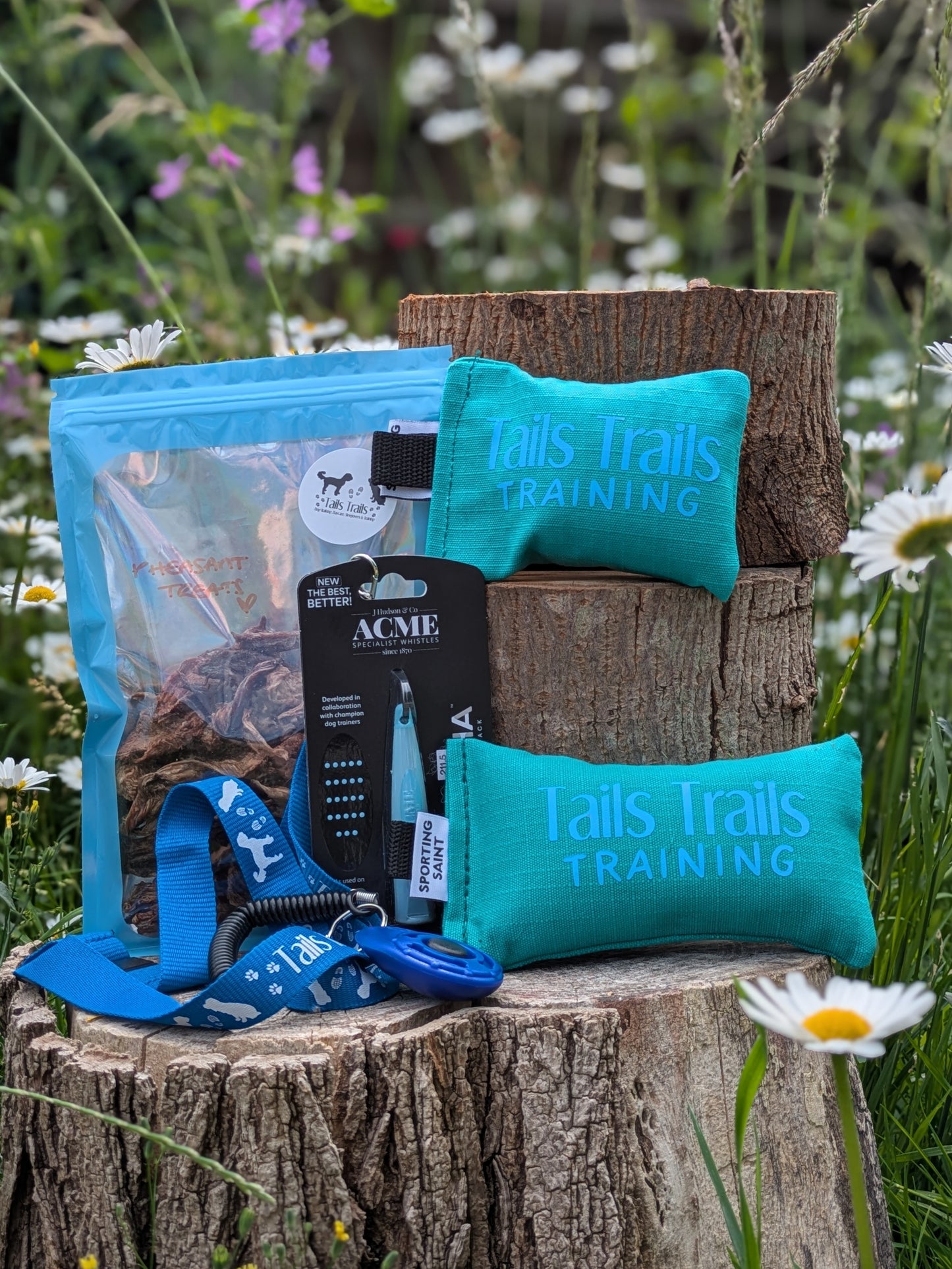 Puppy Gundog Starter Training Bundle