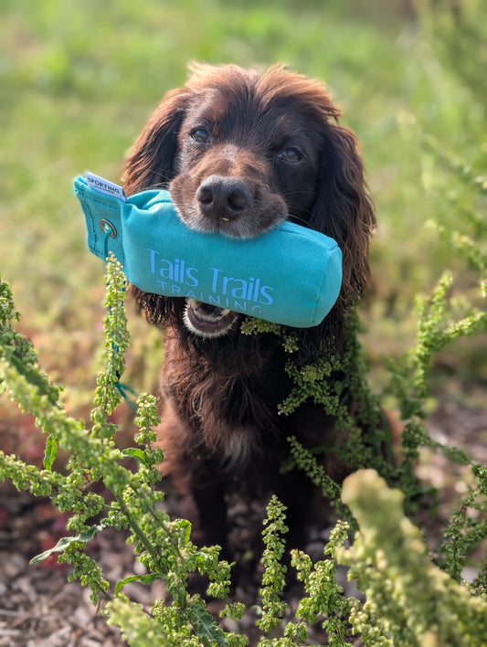 Canvas Gundog Training Dummy