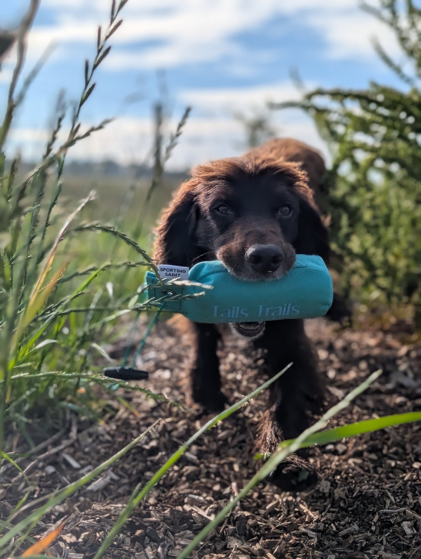 Canvas Gundog Training Dummy