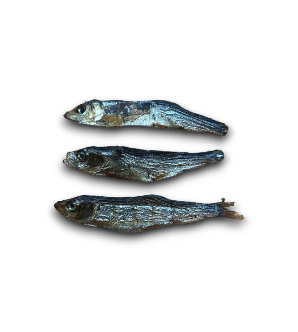 Dried Baltic Sprats